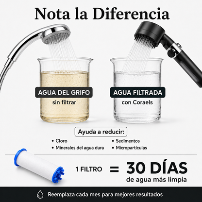 Cabezal Filtrante
